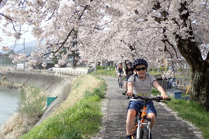 Private Afternoon Cycling Tour in Hida-Furukawa - What To Expect