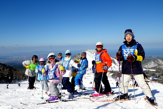 Private Ski Lesson for Family or Group(Transport Included ) - Pricing and Terms