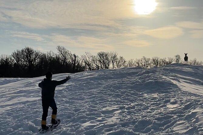 Private Snow Shoe Tour in Shiretoko National Park - Transportation Details