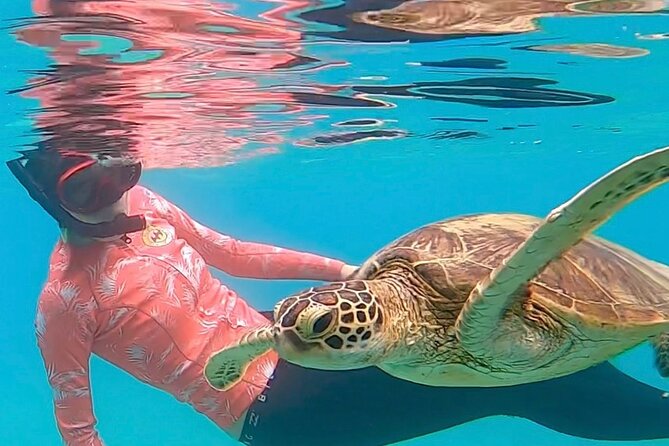 Private Swimming and Snorkeling Tour With Sea Turtles in Amami - Cancellation Policies and Procedures