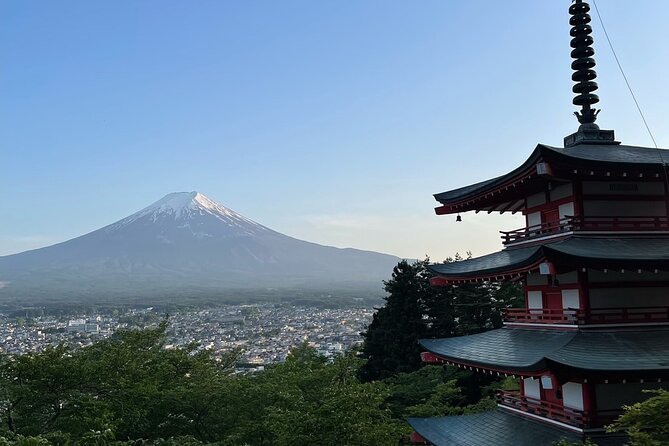 Private Tour in Mt Fuji and Hakone With English Speaking Driver - Private Vehicle Options