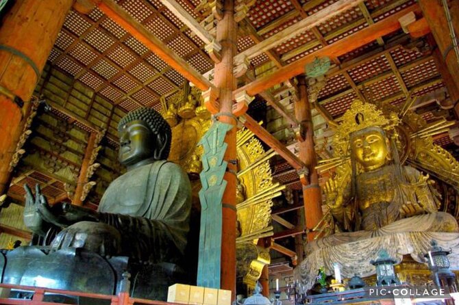 Private Tour Kyoto-Nara W/Hotel Pick up & Drop off From Kyoto - Professional Driver-Guide