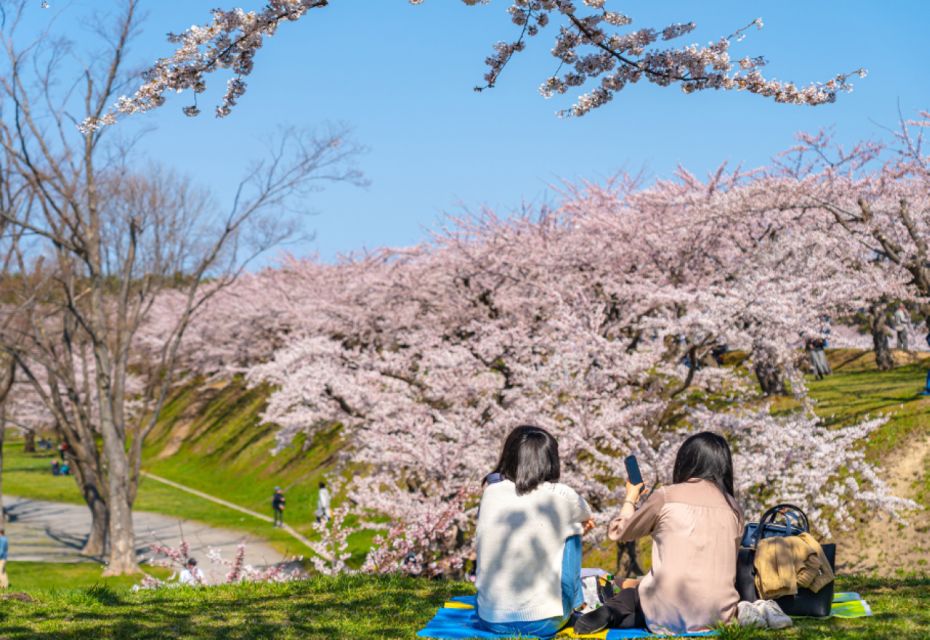 Private & Unique Nagasaki Cherry Blossom Sakura Experience - Testimonials