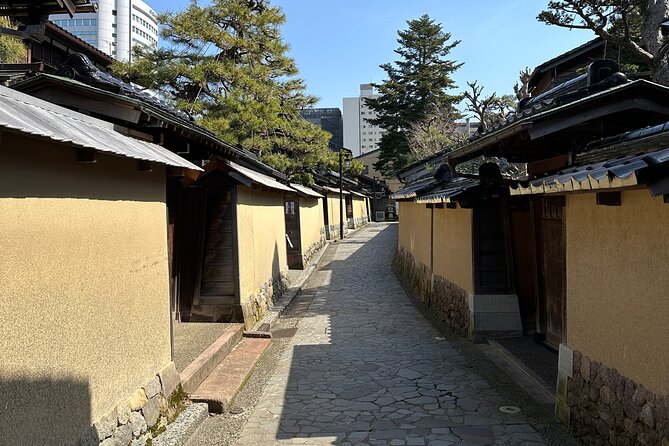 Private Walking Tour in Kanazawa With Local Guides - Reviews