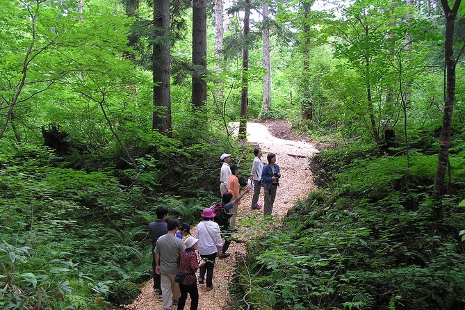 Shiratani-Unsuikyo Trekking Tour in Yakushima Island - Lunch and Refreshments