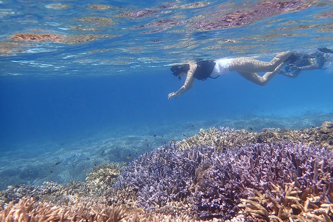 Snorkeling Tour at Coral Island in Iriomote, Okinawa - Packing Essentials