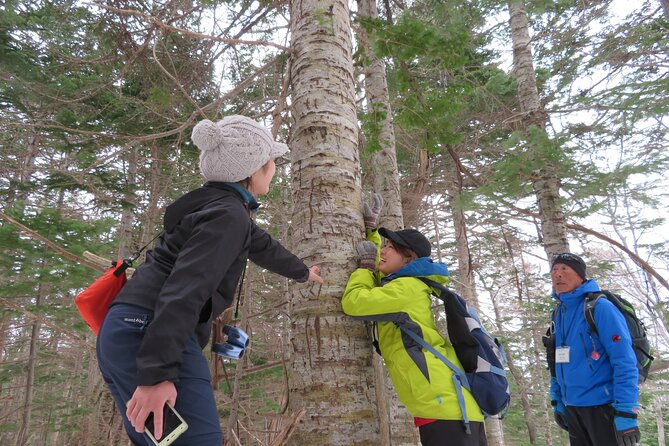 Snowshoeing in the Virgin Forest - Participant Requirements