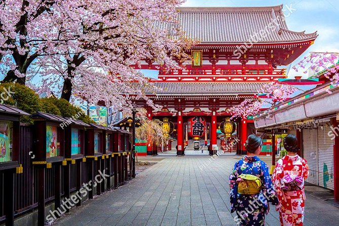 Starter Tour in Tokyo _Visiting Must-See Spots and Practical Guidance - Cultural Etiquette and Customs