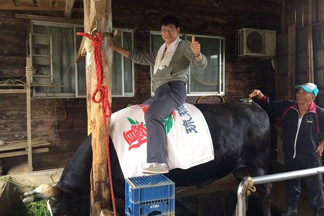 Sugarcane Cutting Experience With Okinawas Grandfather - Animal Interaction Experience