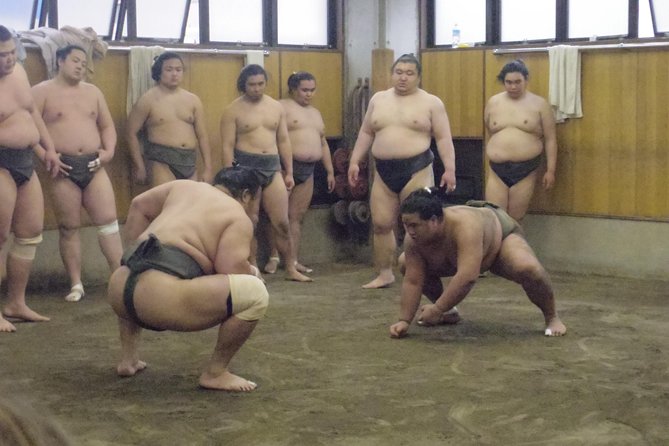 Sumo Morning Practice Tour at Stable in Tokyo - Tour Highlights