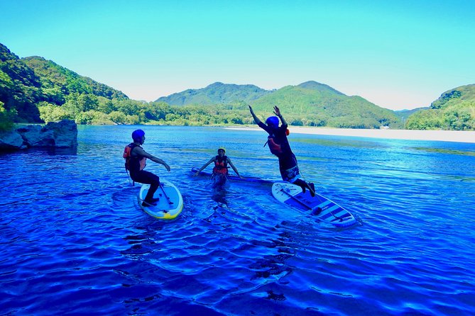 SUP Downriver Tour at Niyodo River - Cancellation Policy