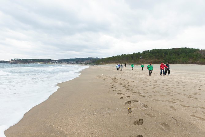 The Best Morning and Michinoku Shiokaze Trail Trekking in the Tanesashi Coast Natural Grassland - Cancellation Policy