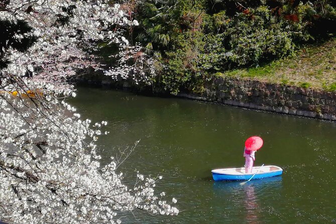 Tokyo Cherry Blossoms Blooming Spots E-Bike 3 Hour Tour - Booking Details