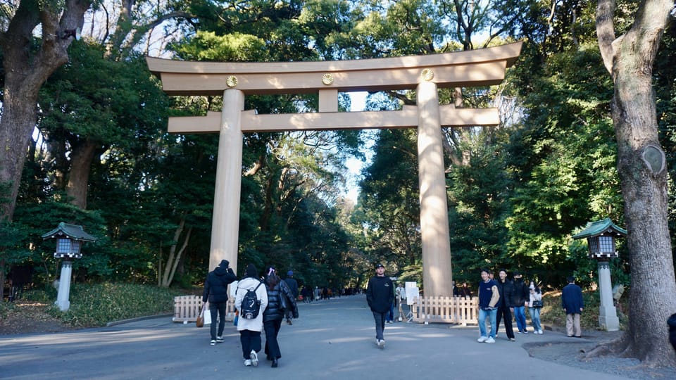 Tokyo From Meiji Shrine to Shibuya Crossing & Lunch,Dessert - Booking Information