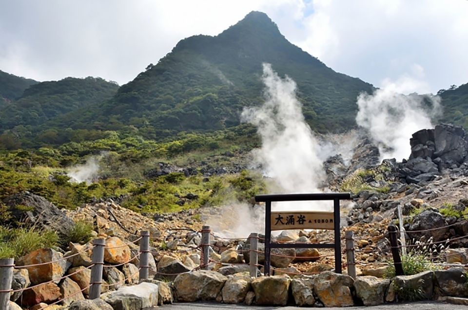 Tokyo: Hakone Fuji Day Tour W/ Cruise, Cable Car, Volcano - Important Information