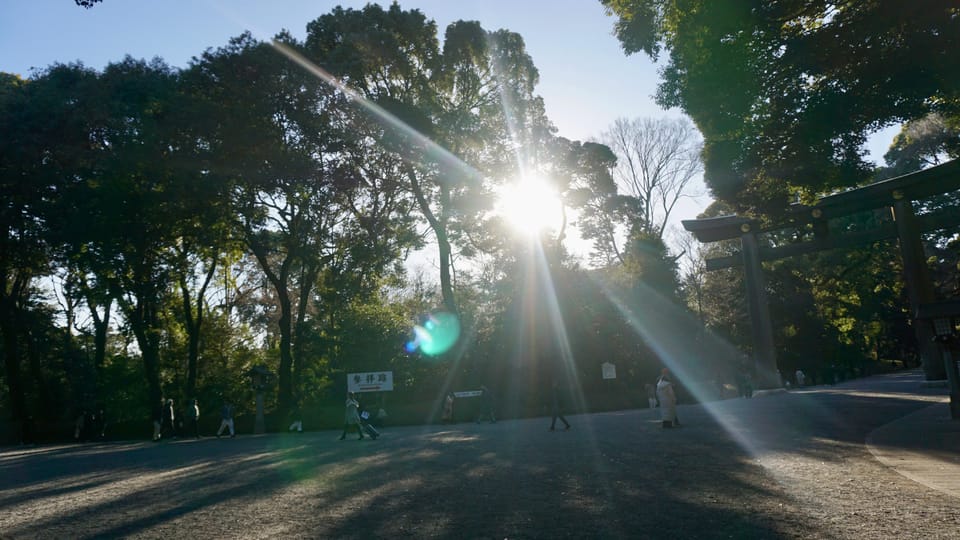 Tokyo Harajuku Meiji Shrine 1h Walking Explanation Tour - Experience