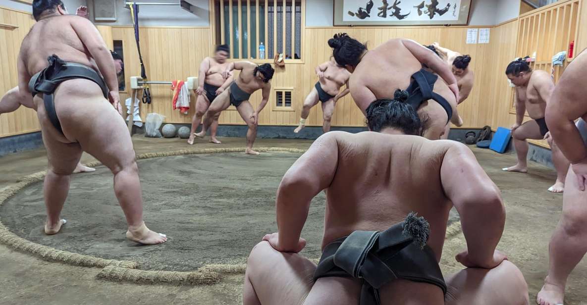 Tokyo: Morning Sumo Practice Viewing - Reviews