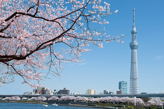 Tokyo Private Customize Tour With Optional English Guide - Booking Information Options