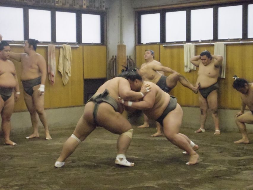 Tokyo: Sumo Morning Practice Viewing Tour - Important Information