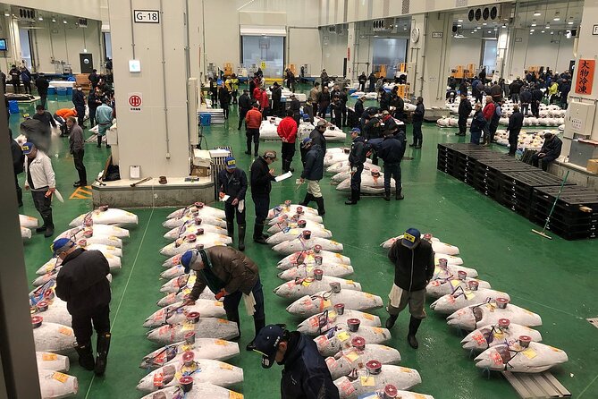 Toyosu and Tsukiji Morning Market With Government Licensed Guide - Customer Reviews