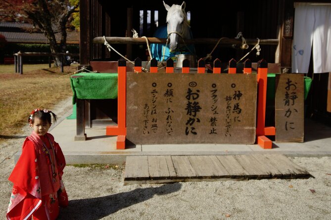 Traditional Kyoto Full-Day Bike Tour and Optional Sake Tasting - Participation Details for the Bike Tour