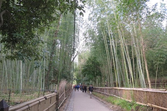 Visit the Lushan Area (On Foot, by Tram) - Nature Walks and Wildlife Spotting