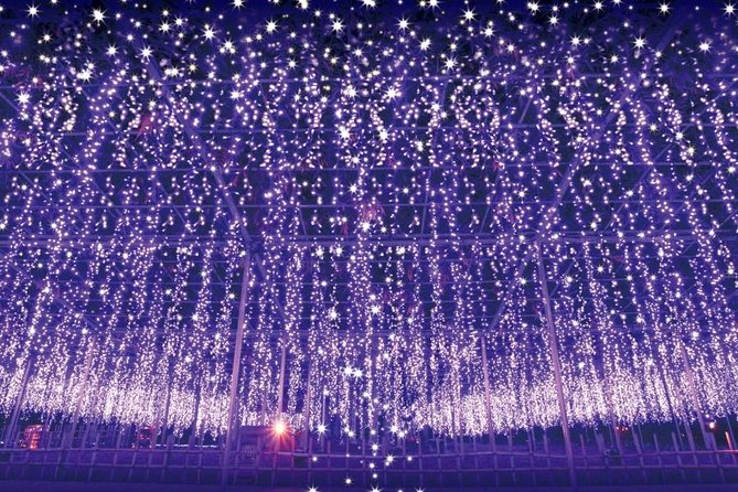 Watarase Keikoku Railway, Takatsudo Gorge,Illumination at Ashikaga Flower Park - Schedule and Meeting Points