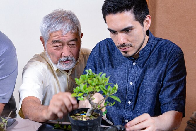 1Day-Bonsai & Sencha Tea Experience: Pastime of the Literati - Traveler Expectations