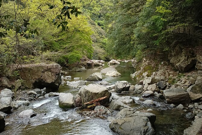 3-Hour Private Tour in Osaka Rapids Hike and Natural Hot Spring - Additional Information