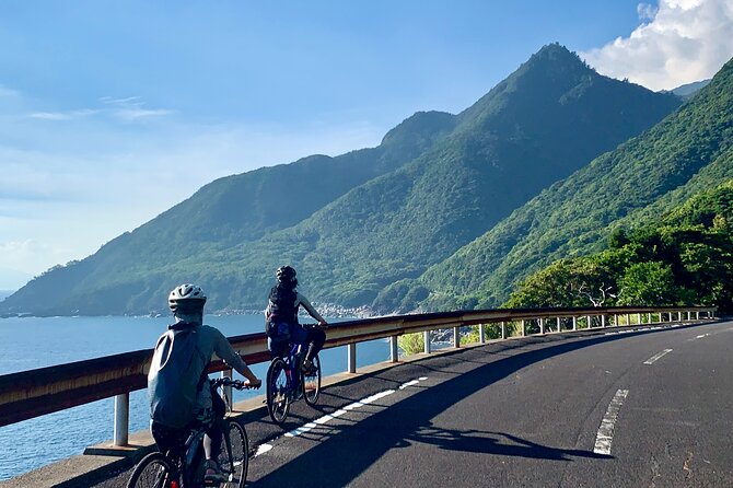 4 Hour Guided Cycling Experience in Yakushima - Duration and Group Size