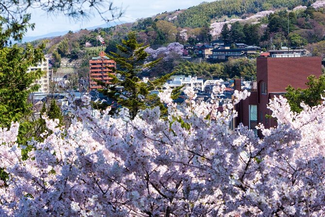 4 Hour Unique Kanazawa Cherry Blossom Sakura Private Experience - Review Summary and Rating Details