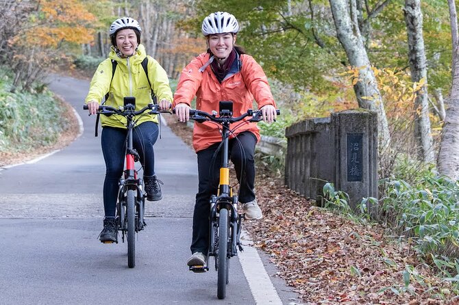 Akagi Summit Lakeshore E-Bike Food Tour - From .76