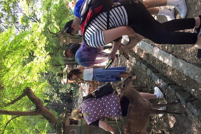 All Must-Sees in 3 Hours - Nara Park Classic Tour! From JR Nara! - Conclusion