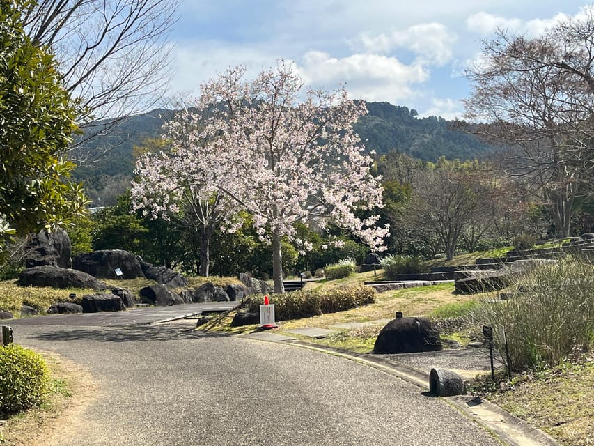 Asuka: Private Guided Tour of an Ancient Capital of Japan - Background Information