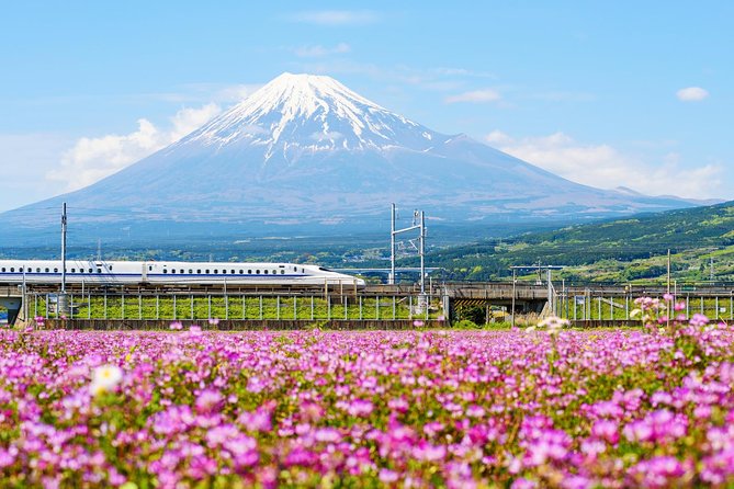 Bullet Train and Mt. Fuji Famous Food Tour - Reviews and Ratings