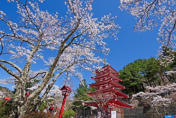 Cherry Blossom ! Five-Story Pagoda,Mt. Fuji 5th Station,Panoramic Ropeway - Panoramic Ropeway Experience