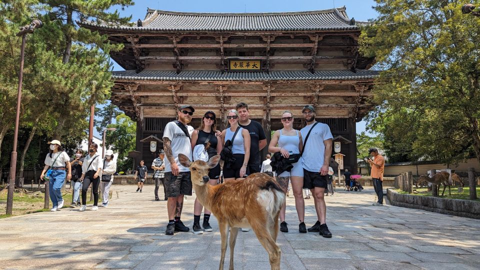 E-Bike Nara Highlights - Todaiji, Knives, Deer, Shrine - Traveler Types Recommendations