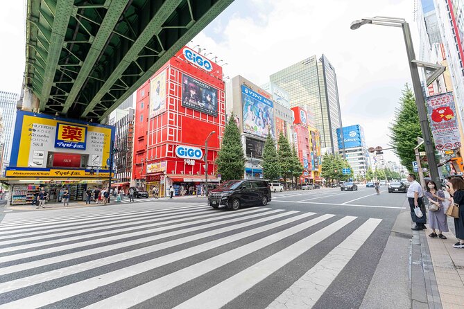 Exclusive Experience: Tailored Anime & Culture Tour in Akihabara - Pricing & Financial Details