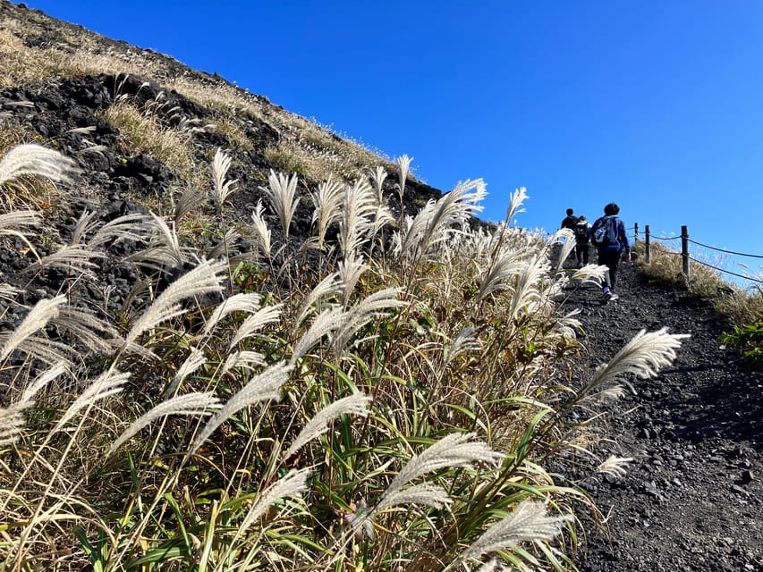 Feel the Volcano by Trekking at Mt.Mihara - Drop-off Locations