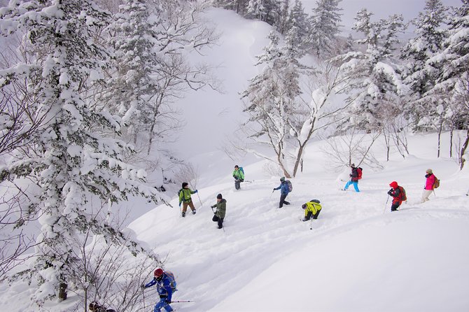 Fluffy New Snow and the Earth Beating, Goshougake Oyunuma Snowshoeing Tour - Cancellation Policy