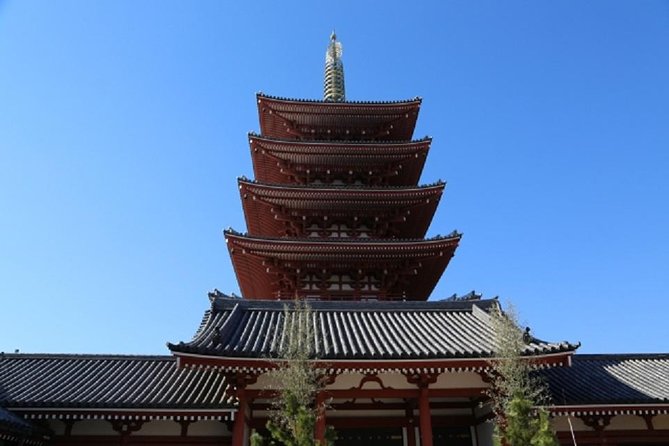 Freely Set up Plans Guided Private Tours in Tokyo - Guide Reviews and Professionalism