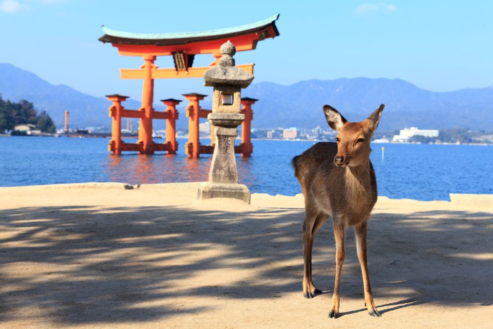 From Hiroshima: Hiroshima and Miyajima Island 1-Day Bus Tour - Important Tour Information