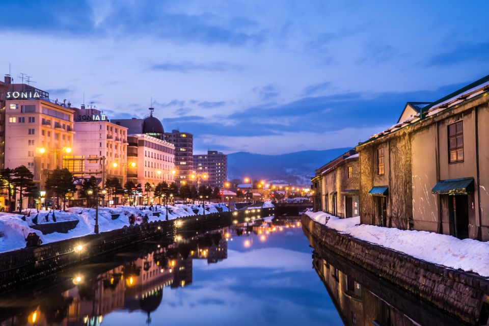 From Sapporo: 10-hour Customized Private Tour to Otaru - Service Description and Itinerary