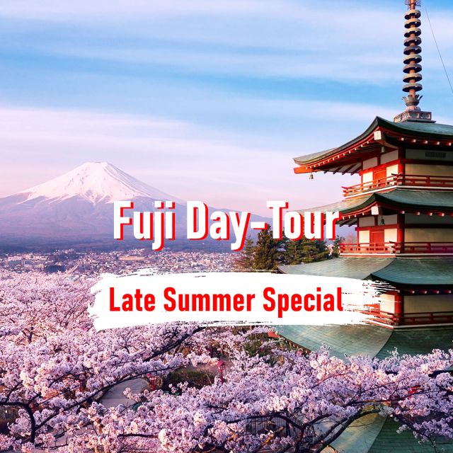 From Tokyo: 10-hour Mount Fuji Private Customizable Tour - Important Information