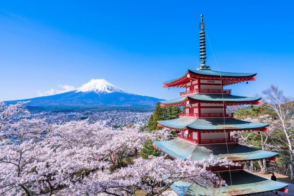 From Tokyo: Mount Fuji Day Trip With Yamanakako Hot Springs - Final Thoughts