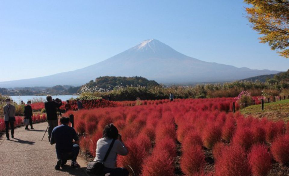 From Tokyo: Mt Fuji and Hakone Customizable Private Day Trip - Inclusions