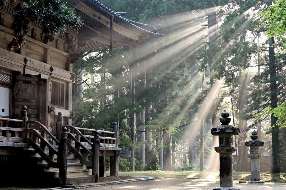 From Tokyo: Private Nikko World Heritage Sights Day Trip - Pricing and Inclusions