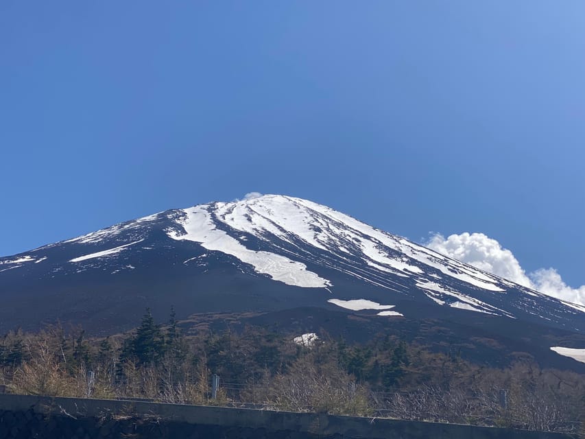 From Tokyo:Mt. Fuji Private Day Tour - Customer Reviews