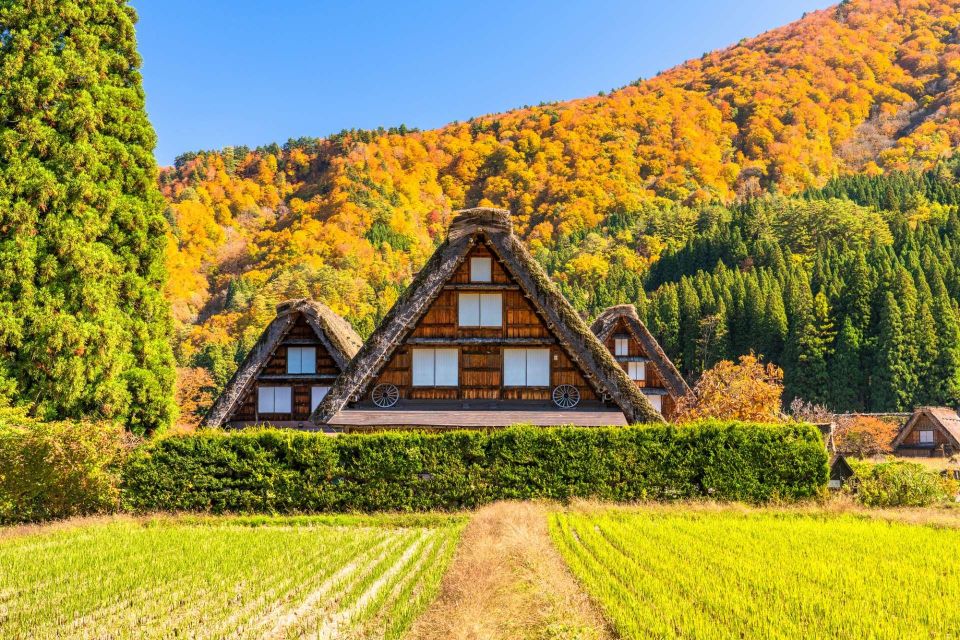 From Toyama: Private Day Tour to Shirakawago & Takayama - Additional Details