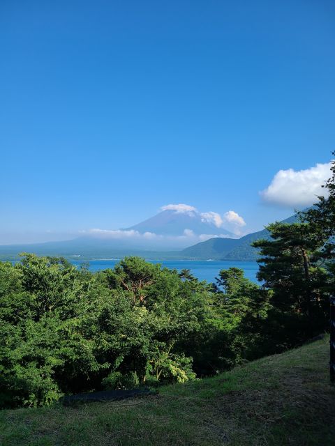 Fujikawaguchiko: Guided Highlights Tour With Mt. Fuji Views - Inclusions, Transportation, and Value